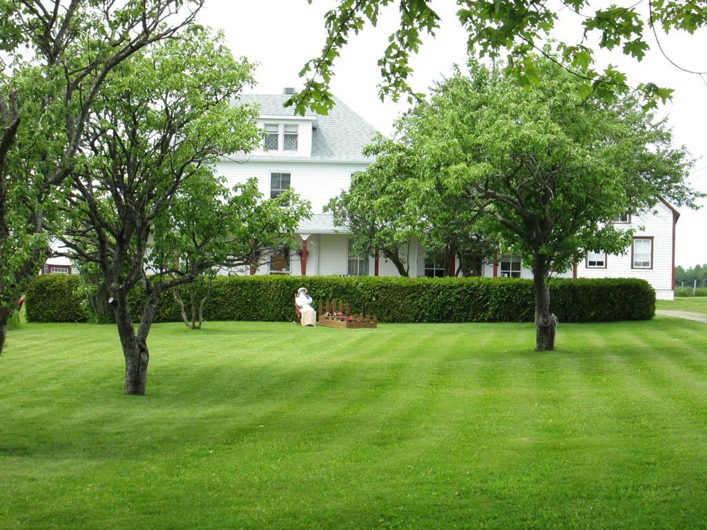 Gite Les Acres Tranquilles B&B Port-Daniel Exterior photo