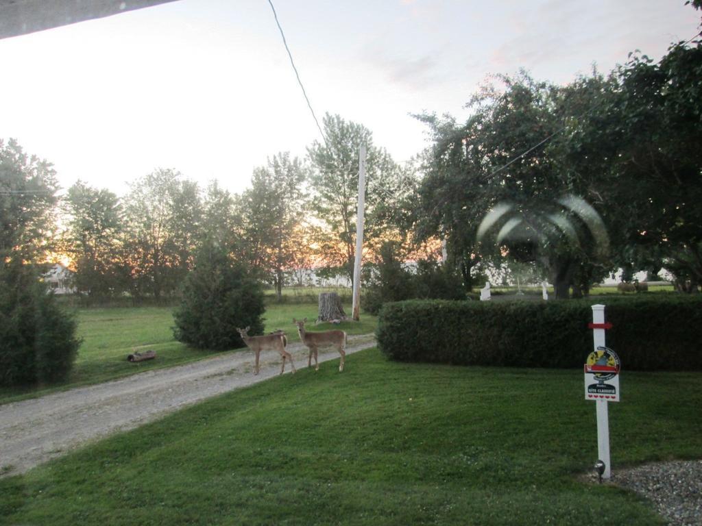 Gite Les Acres Tranquilles B&B Port-Daniel Exterior photo
